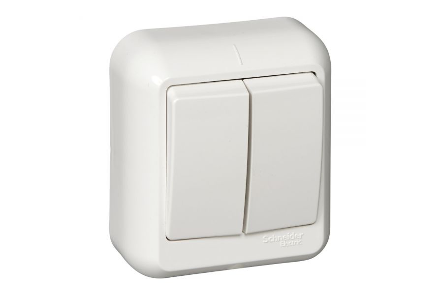 Выключатель 2-клавишный Schneider Electric Прима A56-029I-BI