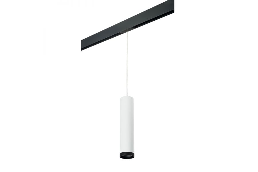 Трековый светильник Lightstar Rullo PRORP4963437 (214496+595857+203437)