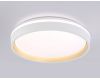 Потолочный светильник Ambrella Light Orbital Dance FZ601