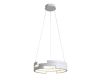 Подвесной светодиодный светильник ST Luce Genuine SL963.503.01