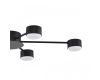 Потолочная люстра Lumion Comfi Torina 8344/6C