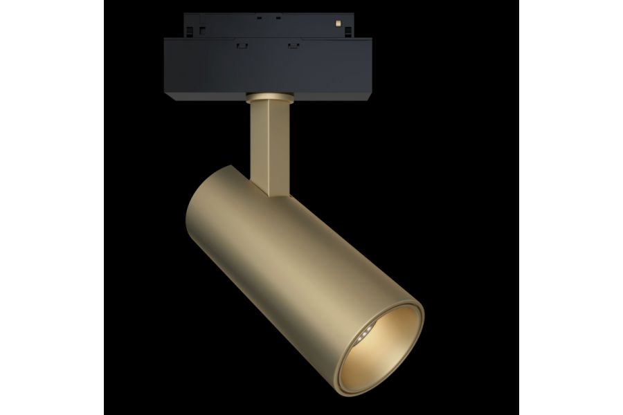 Трековый светильник Maytoni Focus LED  TR019-2-15W4K-MG