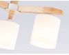 Люстра на штанге Ambrella Light Loft TR83112