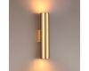 Настенный светодиодный светильник Odeon Light Dario 3833/2WA