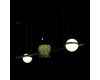 Подвесной светильник Loft IT Jardin 10121/D