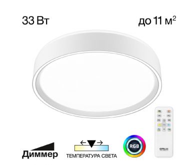 Потолочный светильник Citilux Boss CL751250G