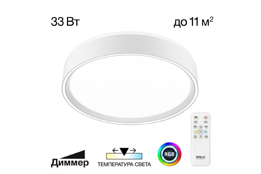 Потолочный светильник Citilux Boss CL751250G