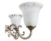 Подвесная люстра Arte Lamp 1 A1032LM-6-3WG