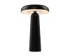 Настольная аккумуляторная лампа Freya Mushroom FR6109TL-L4B
