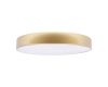 Потолочный светильник Loft IT Flims 10228/A