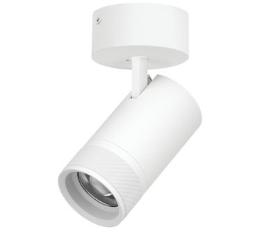 Накладной светильник 20-55G с адаптером Lightstar Canno Pro C4406SO