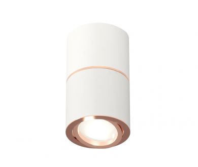 Купить Потолочный светильник Ambrella Light Techno Spot XS7401220 (C7401, A2073, C7401, N7005) Потолочный светильник Ambrella Light Techno Spot XS7401220 (C7401, A2073, C7401, N7005)
