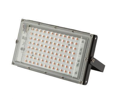 Фитопрожектор для растений Эра FITO-80W-RB-LED-Y Б0053082