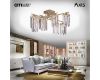 Потолочная люстра Citilux Axis CL313283