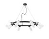 Подвесная люстра Lightstar Rullo (571018+214436-4+214486-4+202431-8) LR0188643641
