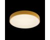 Потолочный светильник Loft IT AXEL 10002/24 Yellow