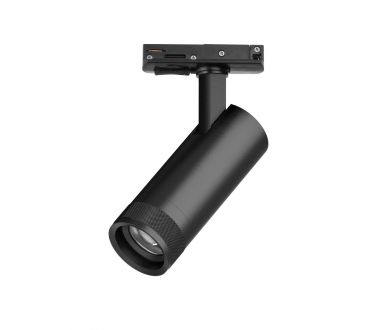 Трековый светильник для однофазного/трехфазного шинопровода Barra 20-55G с тонким адаптером Lightstar Canno Pro C4127SS