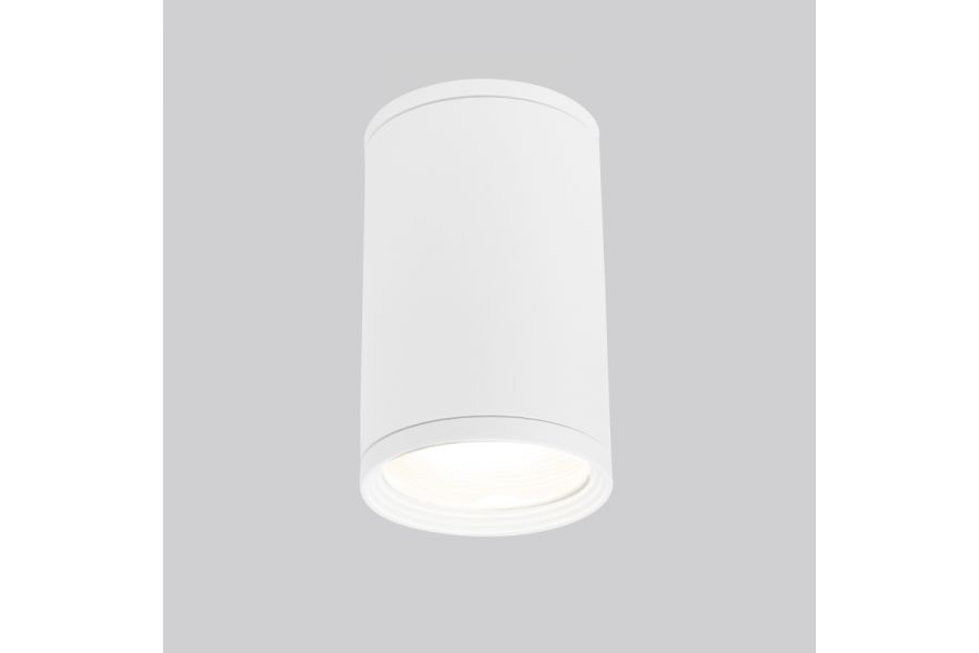 Уличный потолочный светильник Elektrostandard Light 4690389175893