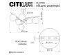 Люстра на штанге Citilux Ronny CL242163