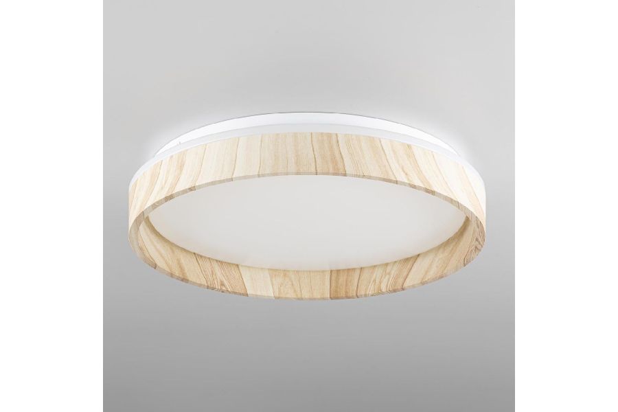 Потолочный светильник Citilux Enzo CL753352G