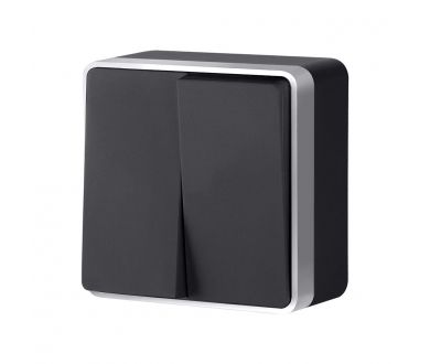 Выключатель двухклавишный Werkel Gallant (черный с серебром) W5020034 4690389164156 a051142