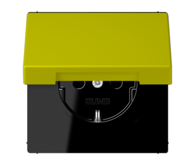 Розетка 2K+З с крышкой Jung LC1520BFKL249