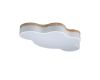 Потолочный светильник Loft IT AXEL 10005/36 White