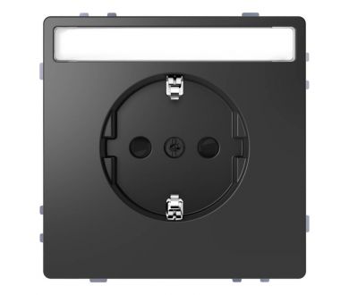 Розетка Schneider Electric Merten D-Life 16A с/з MTN2302-6034