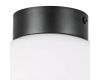 Потолочный светильник Lightstar Globo 812117