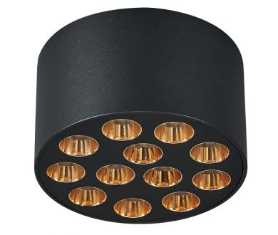 Потолочный светильник Lightstar Guarda 080942