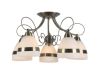 Потолочная люстра Arte Lamp 55 A6192PL-5AB
