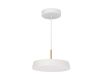 Подвесной светильник Arlight SP-ELEGANT-R300-17W Day4000 (WH, 120 deg, 230V) 033919(1)