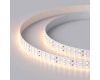 Светодиодная лента Arlight RT-A196-15mm 24V Warm2700 (20 W/m, IP20, 2835, 5m) 019091(2)