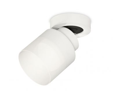 Спот Ambrella Light Techno Spot XM8101021 (A2228, A2105, C8101, N8402)