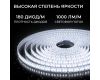 Светодиодная лента Apeyron 24В, 12 Вт/м, 1000 лм/м, 6500К, smd2835, 180 д/м, IP65, 5м 00-449