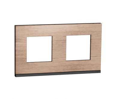 Рамка 2-постовая Schneider Electric Unica New NU600484