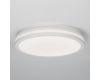Потолочный светильник Citilux Luns CL711020V