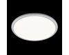 Потолочный светильник  LOFT IT Sweety 10454/500 White