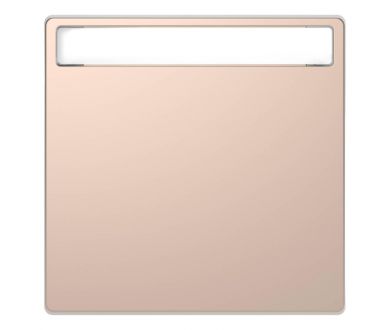 Клавиша одинарная Schneider Electric Merten D-Life MTN3360-6051
