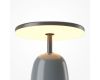 Настольная лампа Maytoni Umbra MOD522TL-L6GR3K