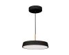 Подвесной светильник Arlight SP-ELEGANT-R300-17W Warm3000 (BK, 120 deg, 230V) 033921(1)
