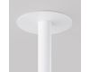 Подвесной светильник Maytoni Focus T P141RS-L125-6W4K-W