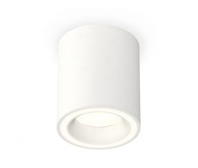 Купить Потолочный светильник Ambrella Light Techno Spot XS7421020 (C7421, N7110) Потолочный светильник Ambrella Light Techno Spot XS7421020 (C7421, N7110)