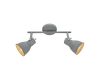 Спот Arte Lamp A1677PL-2GY