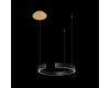 Подвесной светодиодный светильник Loft IT Ring 10025/400 Black