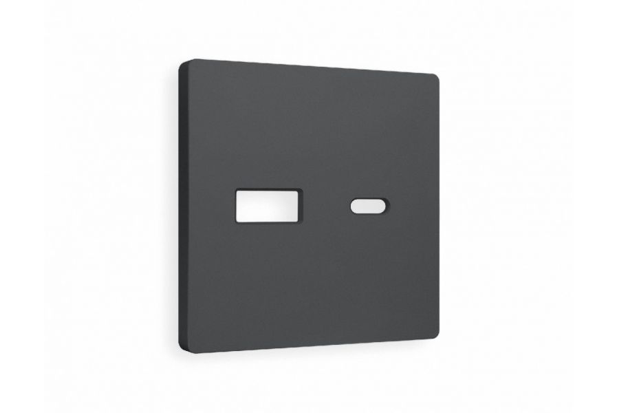 Лицевая панель для розетки 2USB тип A+C Ambrella Volt Alfa AP9110