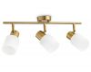Спот Ambrella Light Traditional TR3972