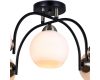 Люстра на штанге Illumico IL0250-5CSQ-79 BK AB