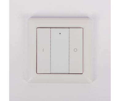 Настенная радиопанель SWG ES-B-W-K2-Z1 013295
