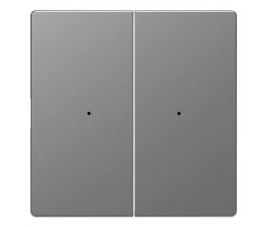 Клавиша двойная Schneider Electric Merten D-Life MTN5220-6036